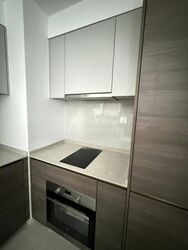 The Florence Residences (D19), Apartment #459162041